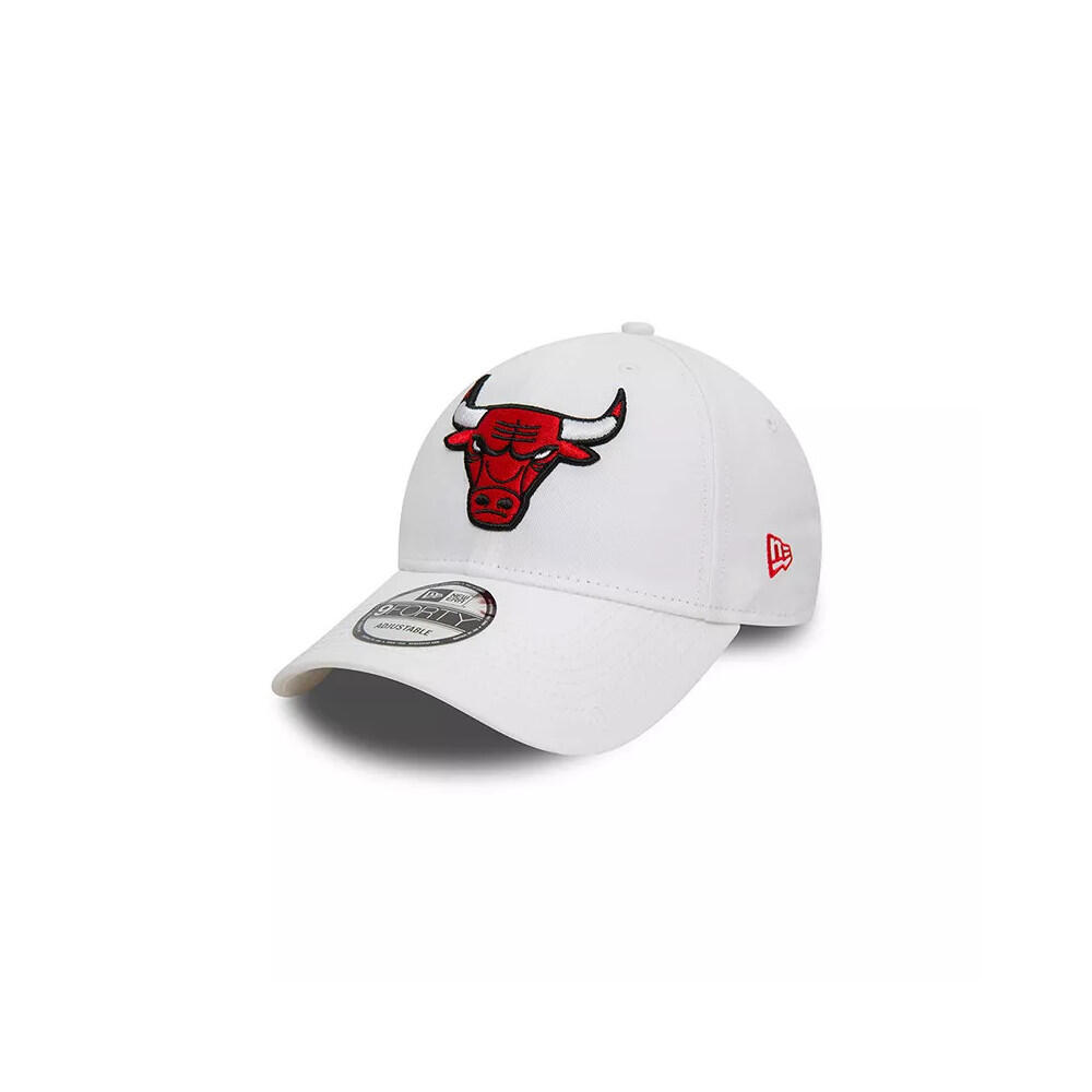 Casquette New Era NBA 9FORTY TRUCKER CHIBUL 1/5