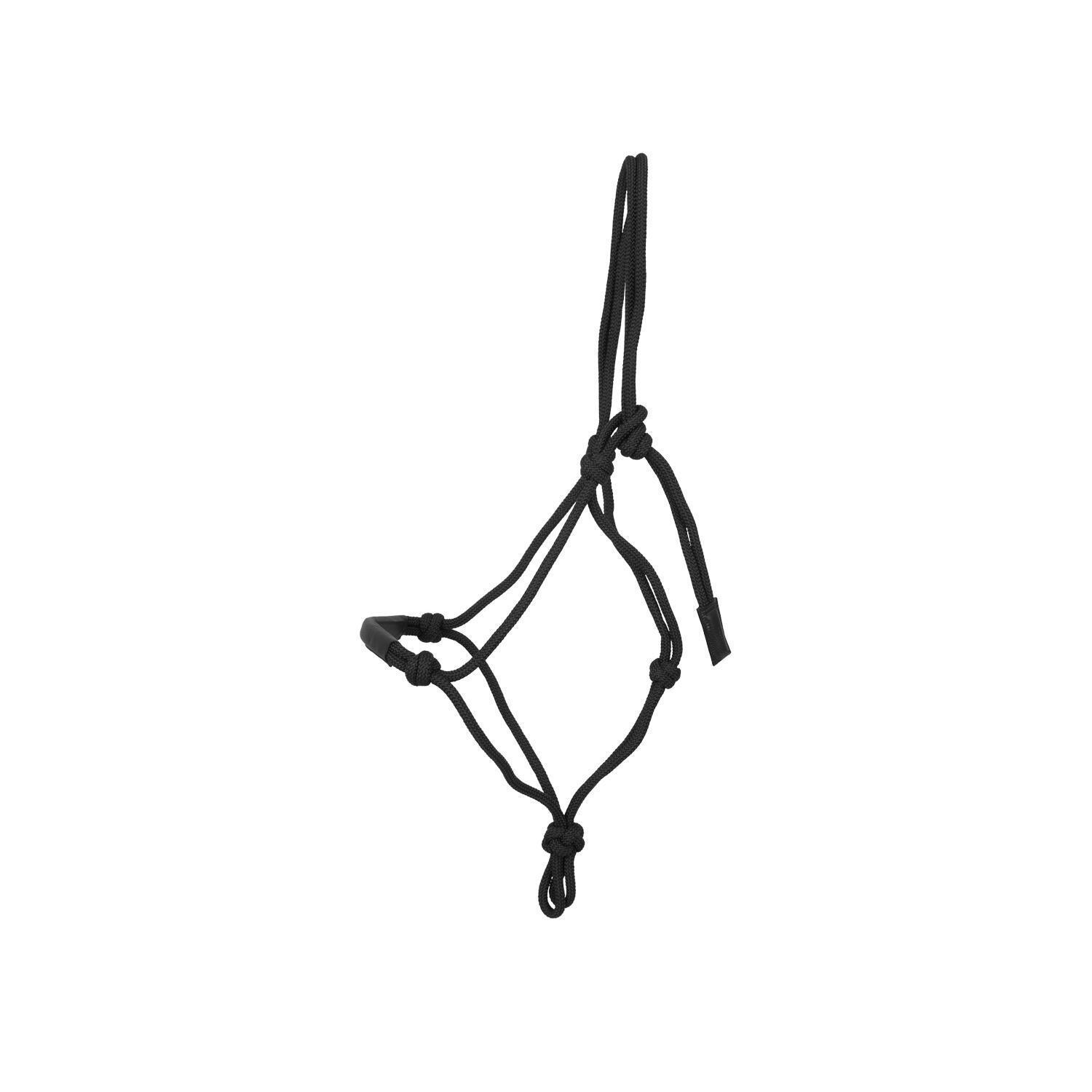 KENTUCKY HORSEWEAR picture