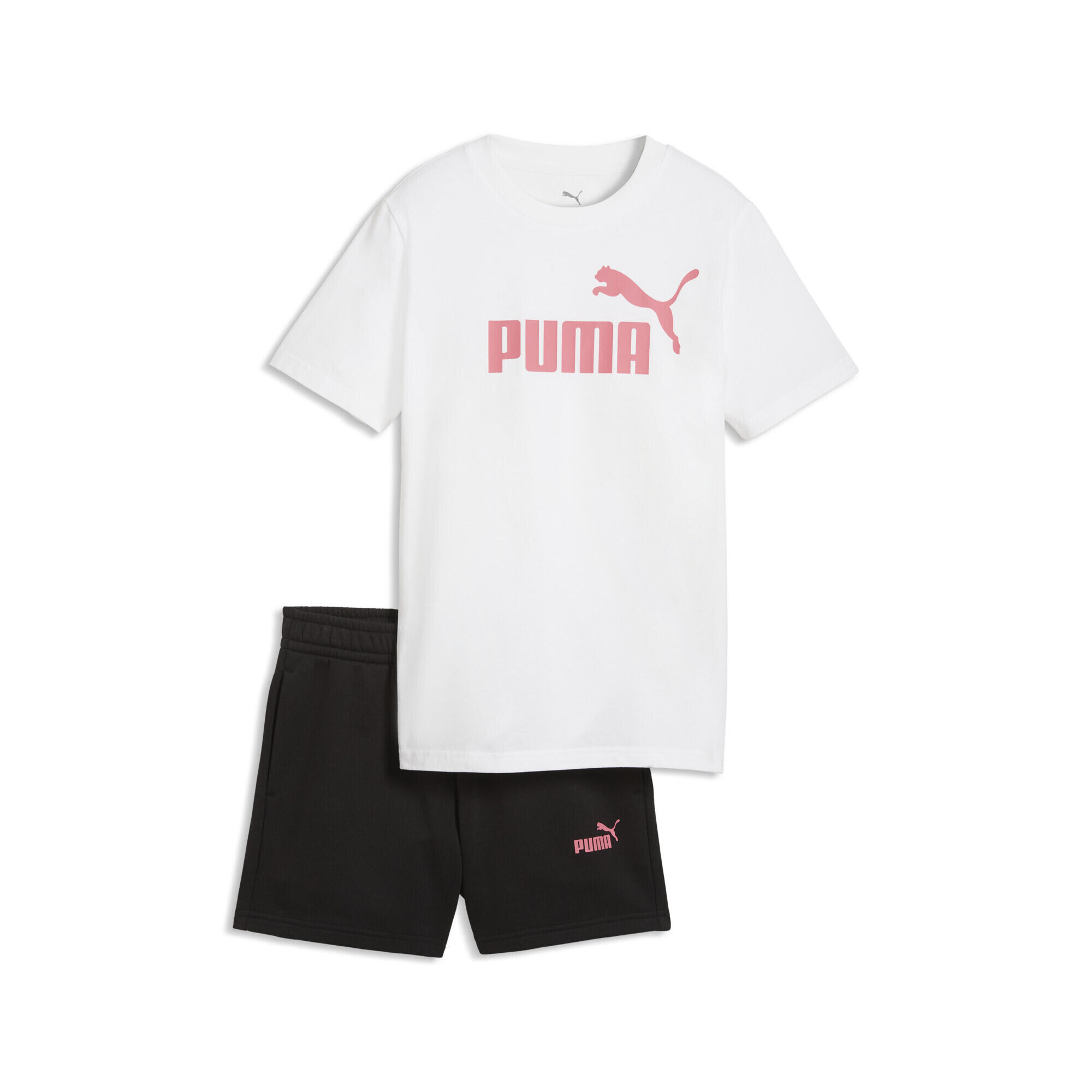 PUMA picture