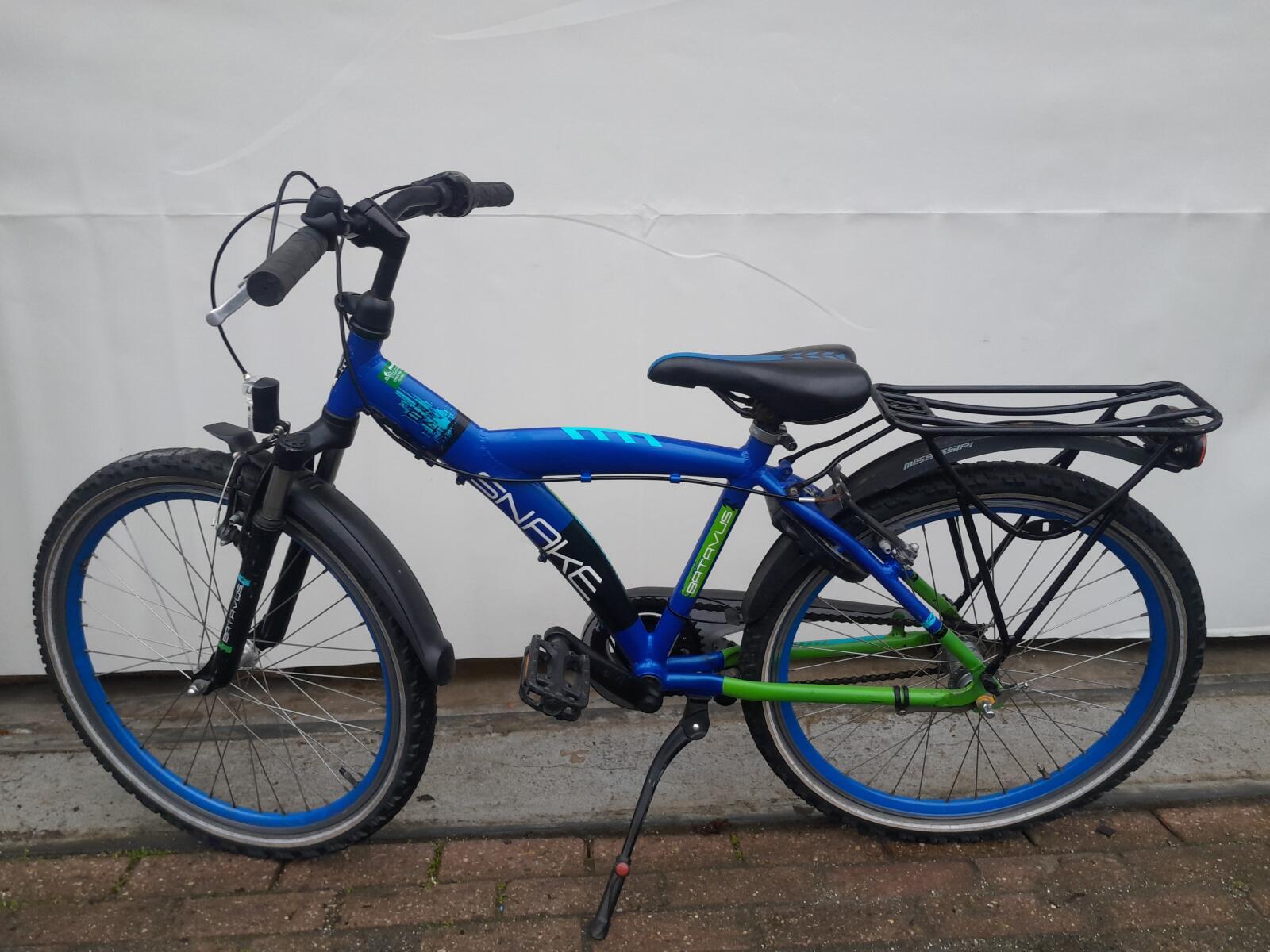 Batavus Snake 3/5