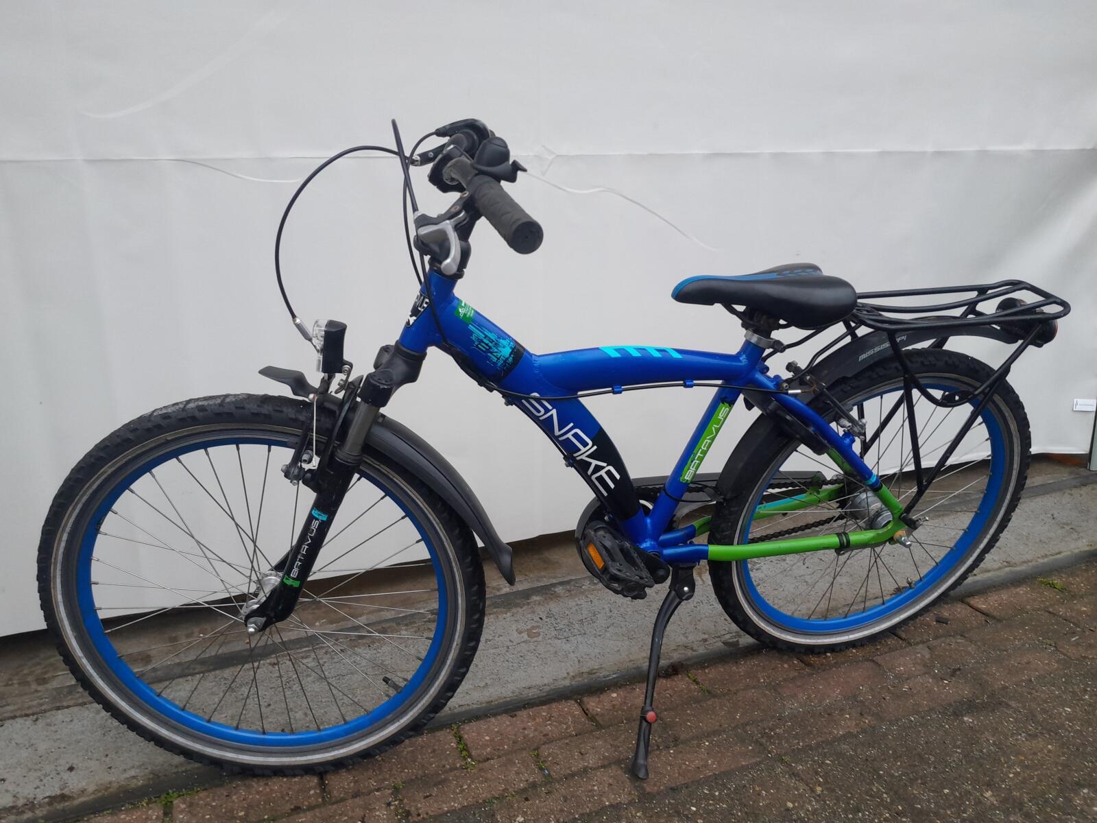 Batavus Snake 4/5