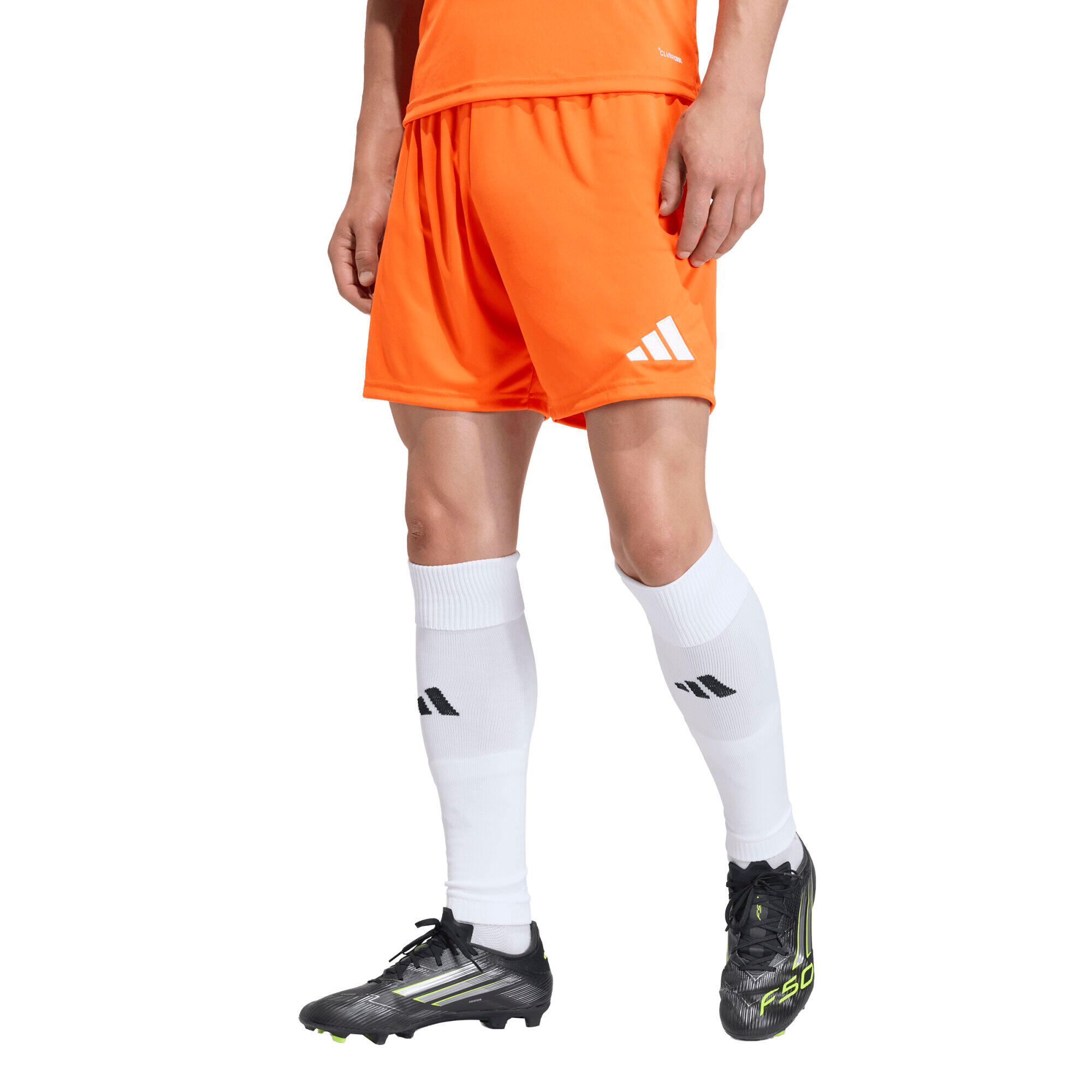 Pantaloncini da uomo adidas Entrada 26 2/7