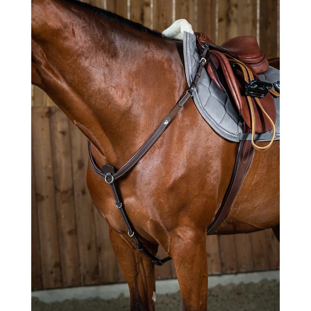 Hunting collar for horse Dy'on