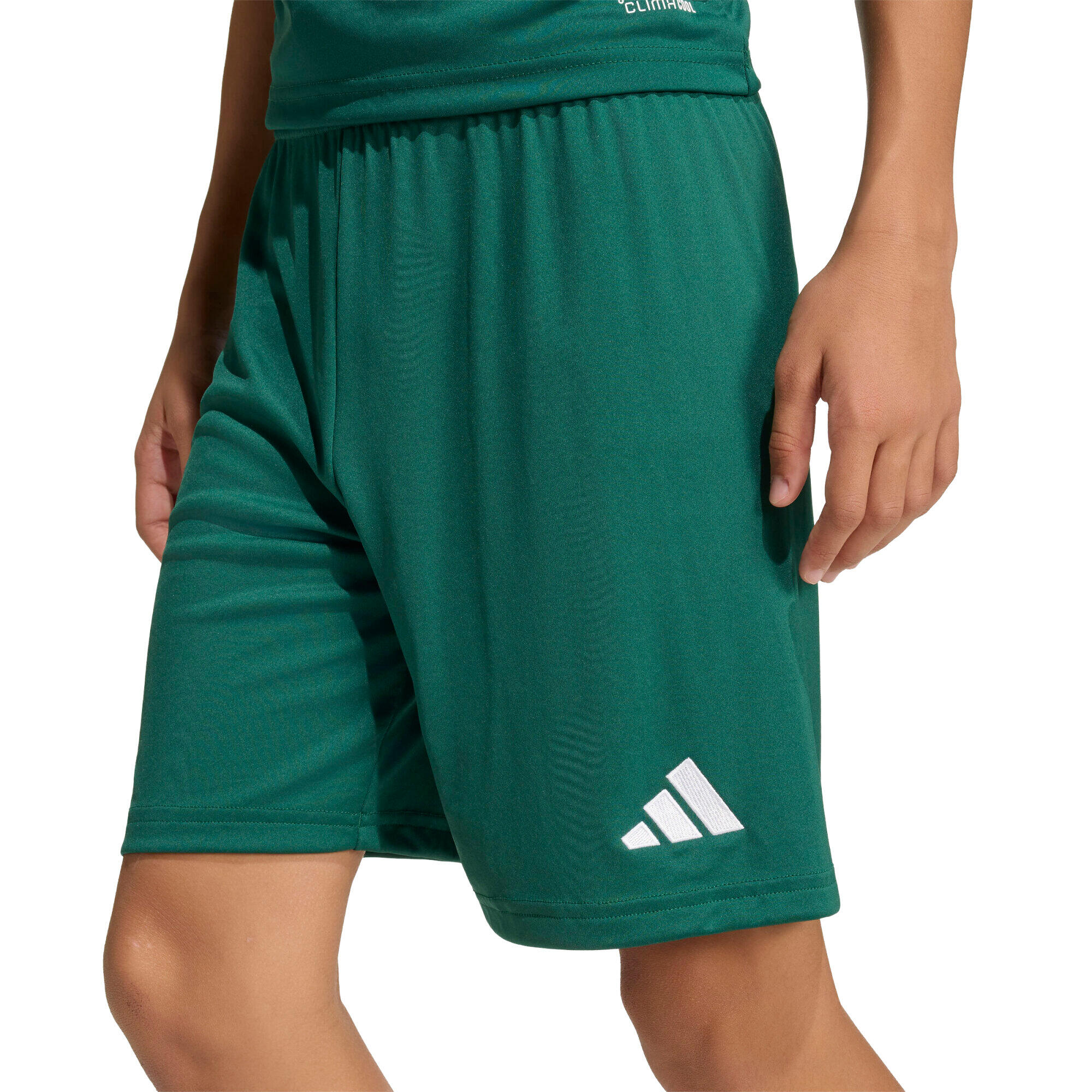 Pantalones cortos para niños adidas Entrada 26 5/7
