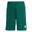 Pantaloni scurți pentru copii adidas Entrada 26