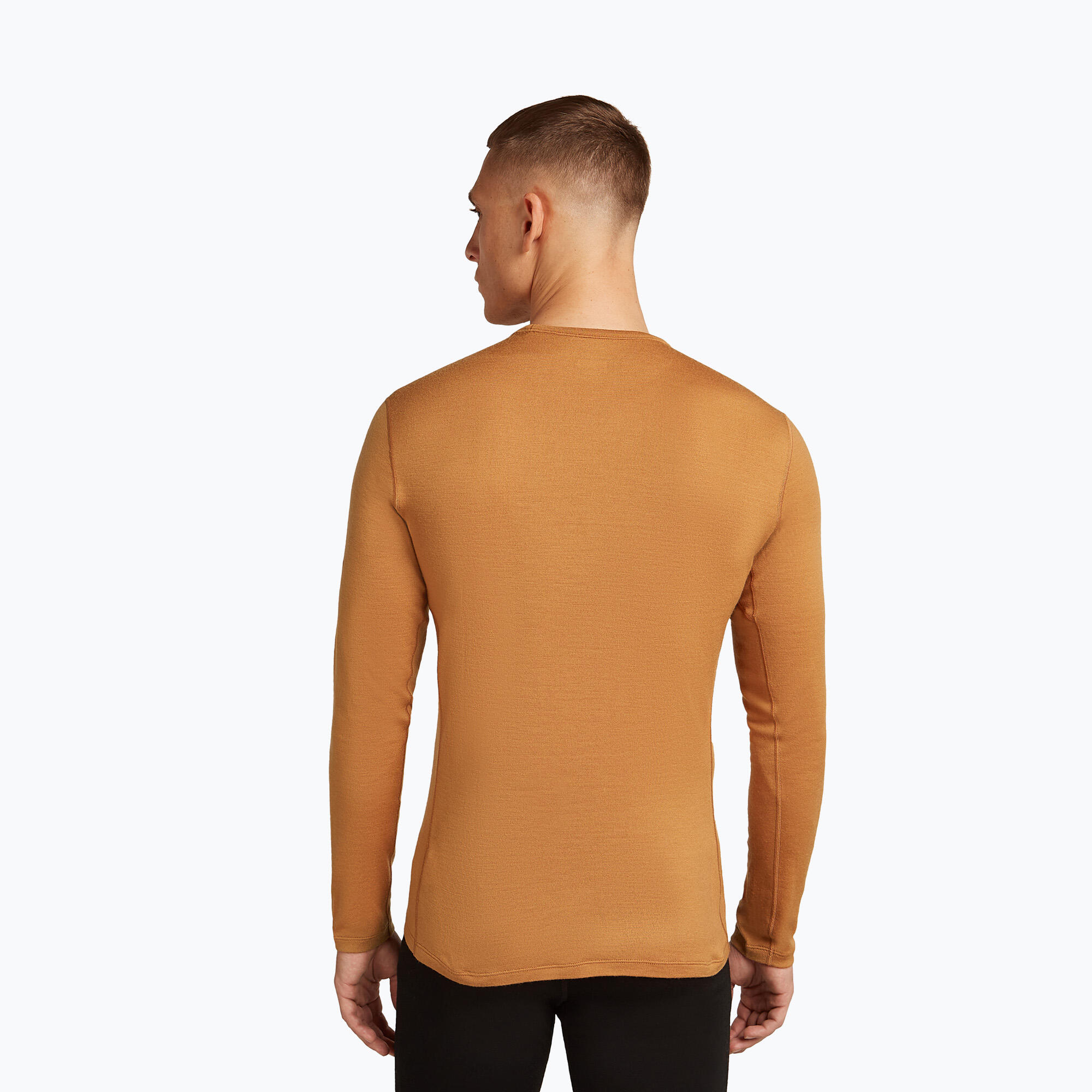 Longsleeve termoaktywny męski icebreaker 260 Tech Crewe 3/7