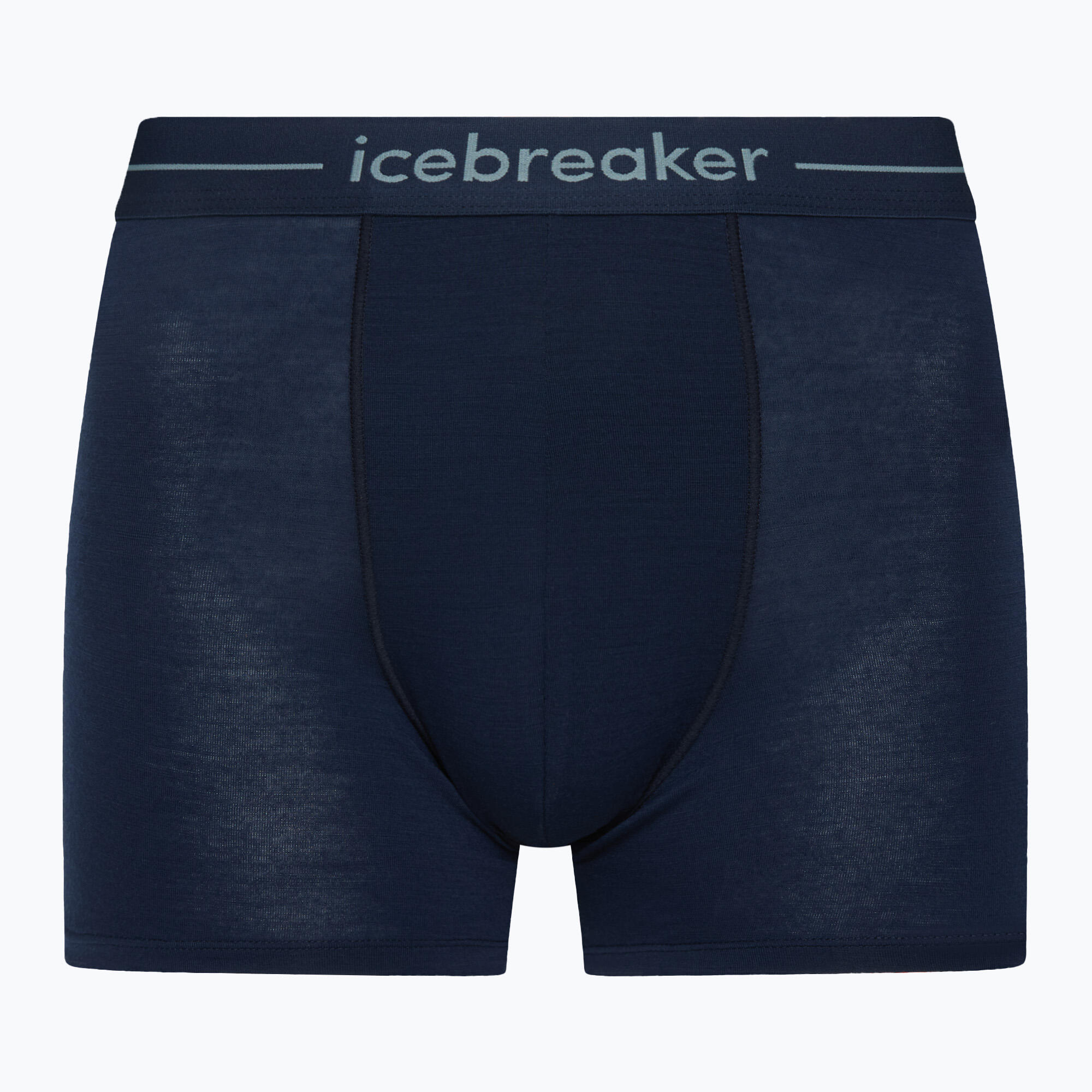 Bokserki termoaktywne męskie icebreaker Anatomica 1/4