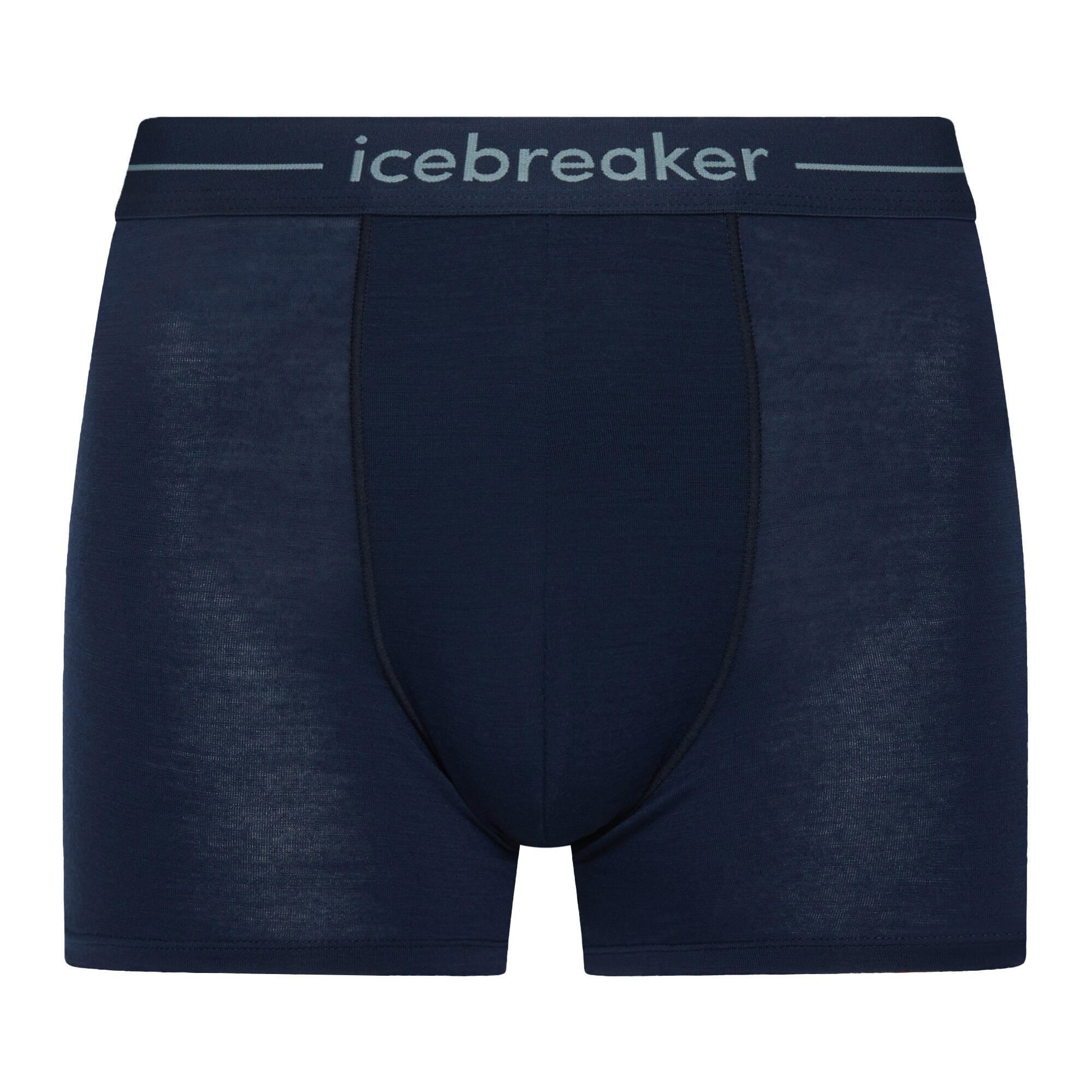 Bokserki termoaktywne męskie icebreaker Anatomica 4/4