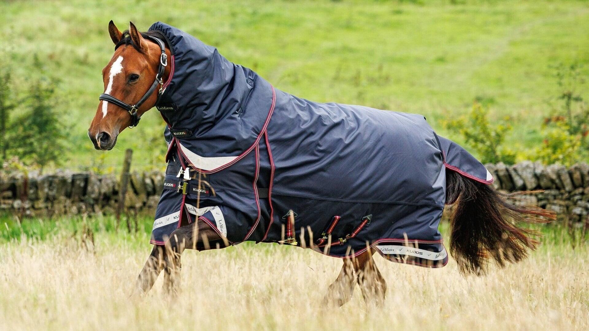 Couverture d'extérieur pour cheval LeMieux Kudos Thermo Layer 100g 6/7