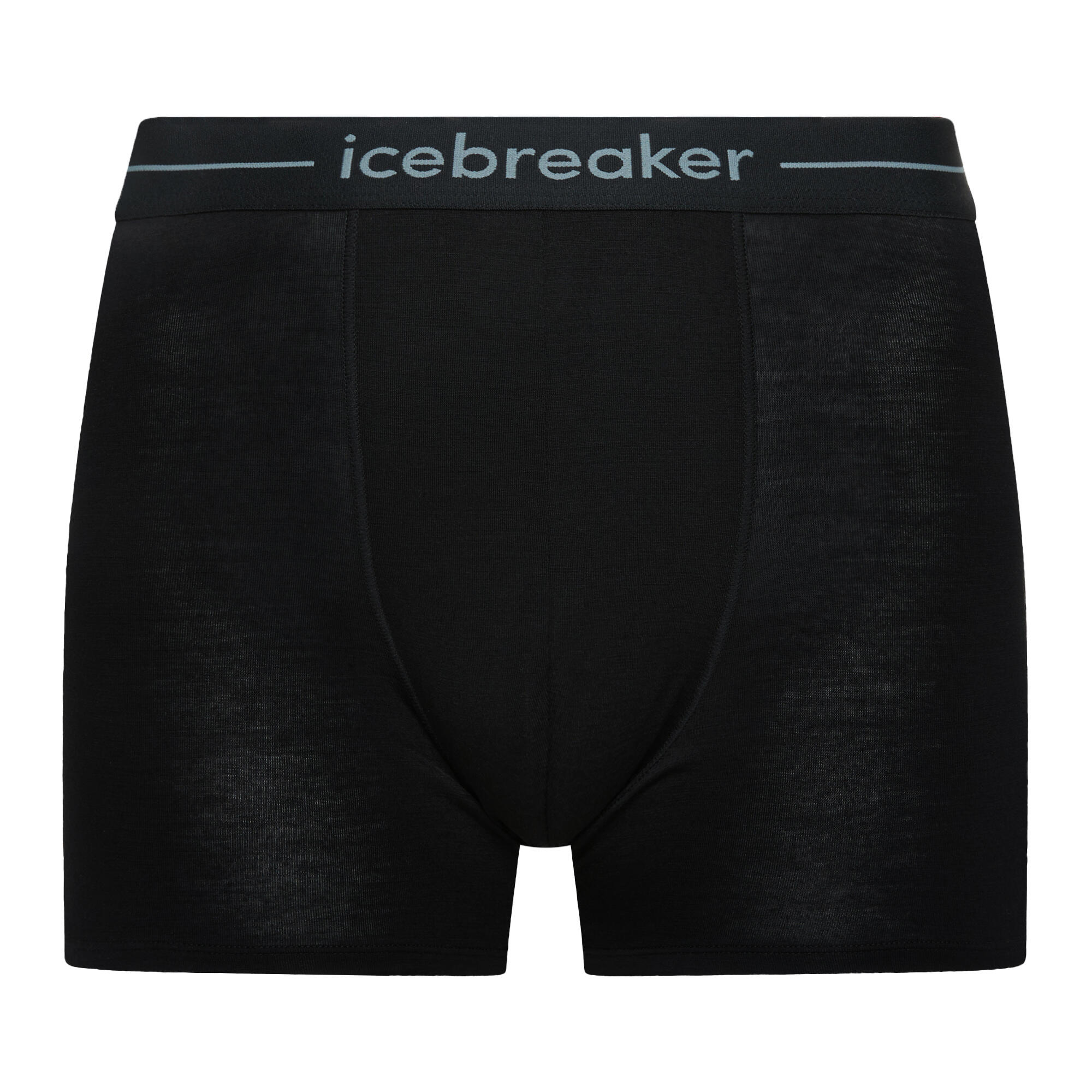 Bokserki termoaktywne męskie icebreaker Anatomica 4/4