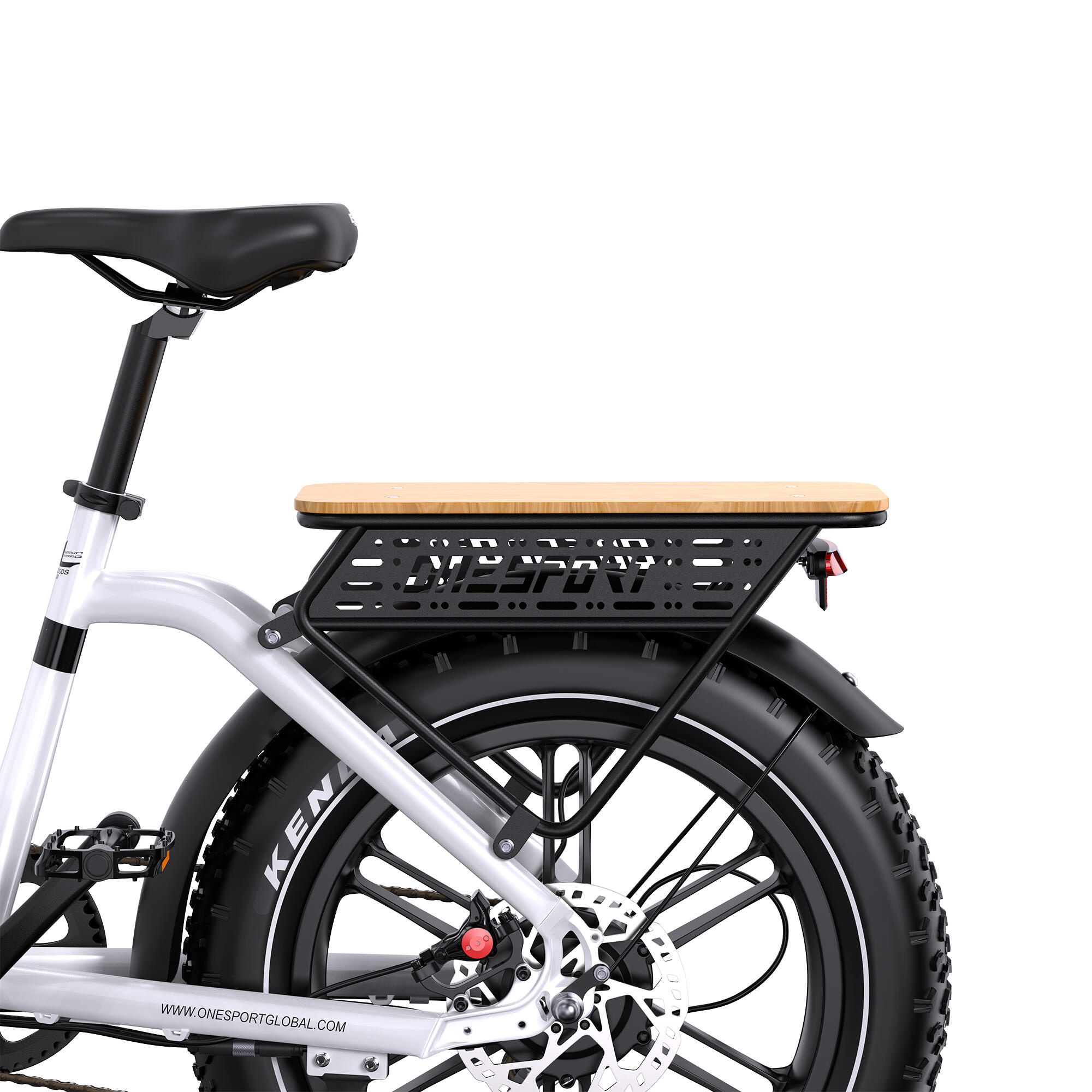 Bicicleta Elétrica 250W · Autonomia 80–90 km · 65 Nm · Pneus Largos 5/6