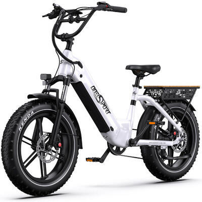 E-bike 250w · actieradius 80–90 km · 65 nm · brede banden · hydraulisch