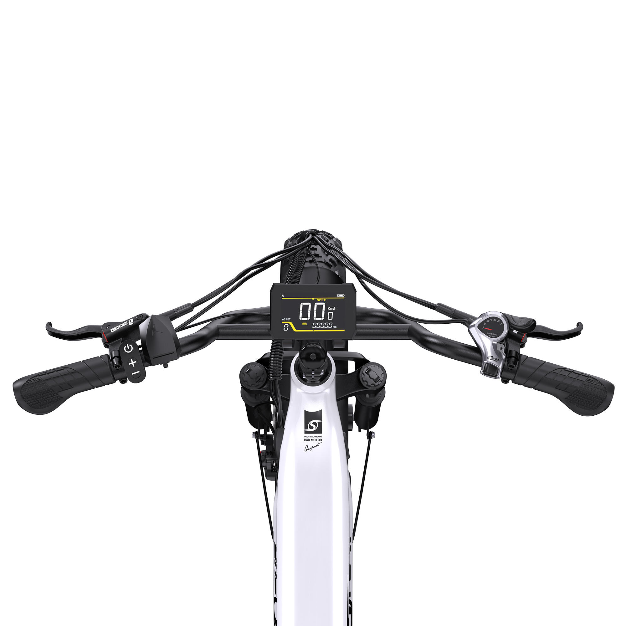 Bicicleta Elétrica 250W · Autonomia 80–90 km · 65 Nm · Pneus Largos 6/6