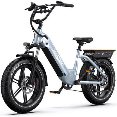 E-bike 250w · actieradius 80–90 km · 65 nm · brede banden · hydraulisch