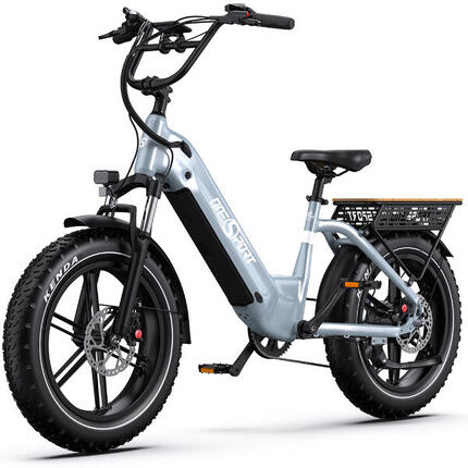 E-Bike 250W · 80–90 km Reichweite · 65 Nm · Breitreifen · Hydraulische Bremsen