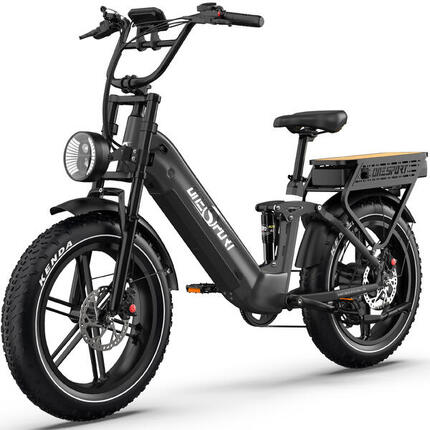 E-Bike 200 km Reichweite, 250W Motor, Shimano 7-Gang, hydraulische Scheibenbrems