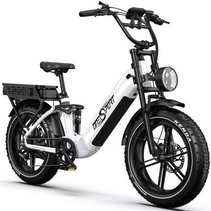 E-Bike 200 km Reichweite, 250W Motor, Shimano 7-Gang, hydraulische Scheibenbrems