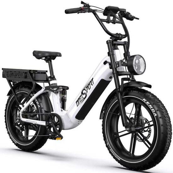 E-Bike 200 km Reichweite, 250W Motor, Shimano 7-Gang, hydraulische Scheibenbrems