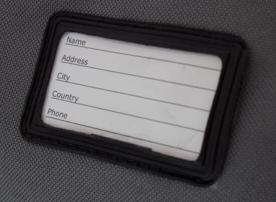 BRUBAKER Carver Pro Limited Skitasche für Ski+Stöcke, 170cm, Grün/Schwarz