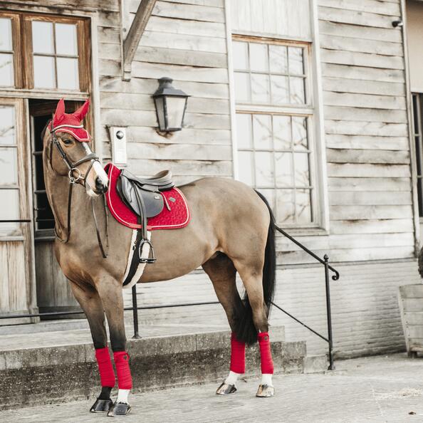 Bandes de polo Velvet  - Kentucky 7/7
