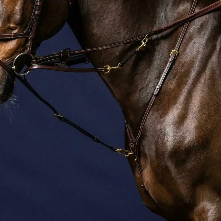 Martingale fork Dy'on Howlett