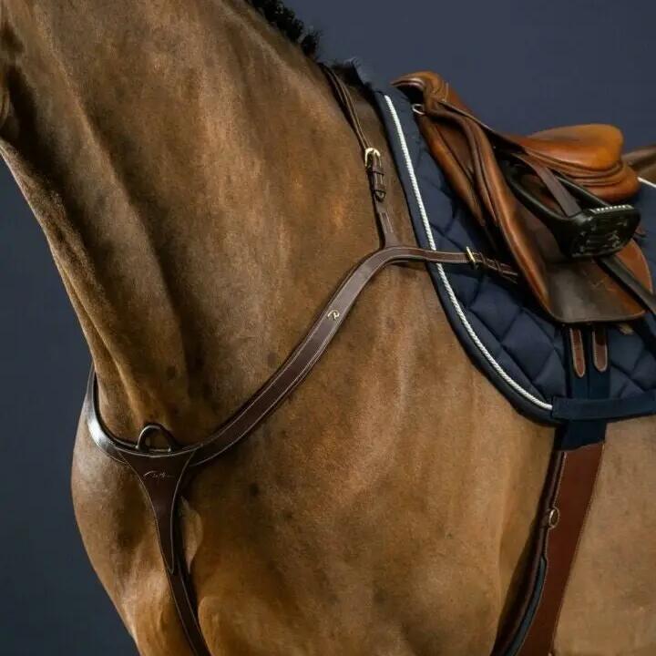 Long bridge hunting collar for horse Dy'on