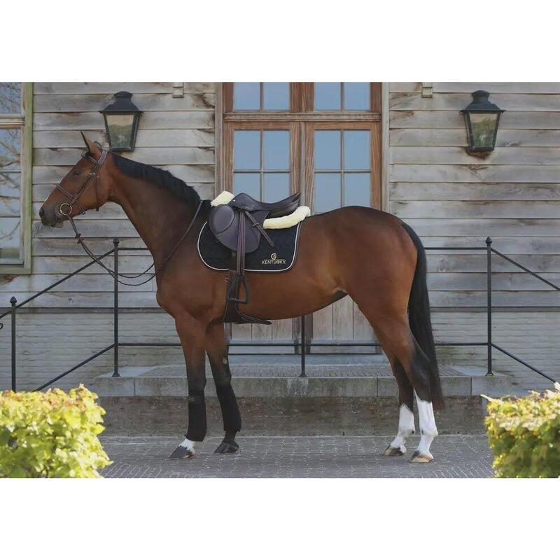 Kentucky Zadeldek Logo Wit -