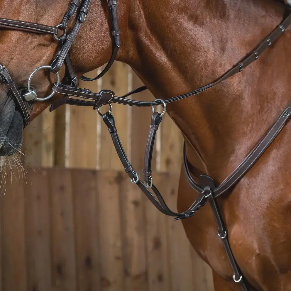 Martingale for horse Dy'on Working