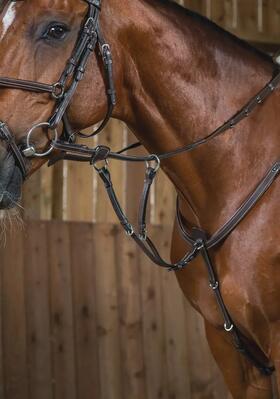 Dy'on running martingale attachment working collection zwart -