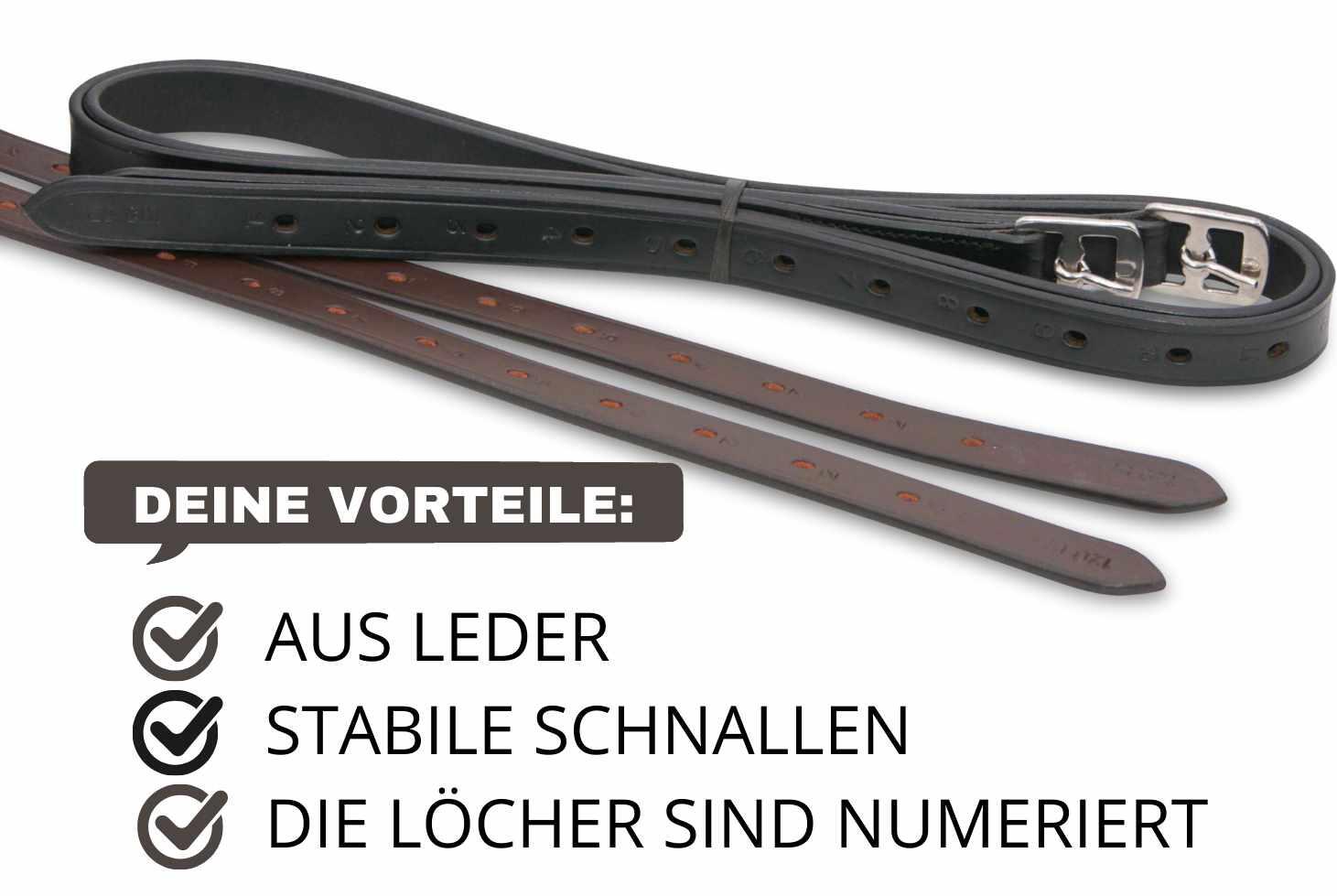 AMKA Steigbügelriemen BASIC 2/4