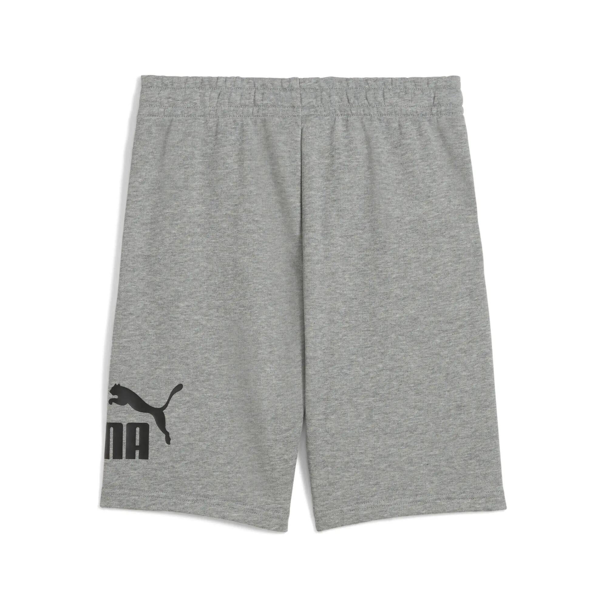 ESS No. 1 Logo Shorts Jungen PUMA 5/6
