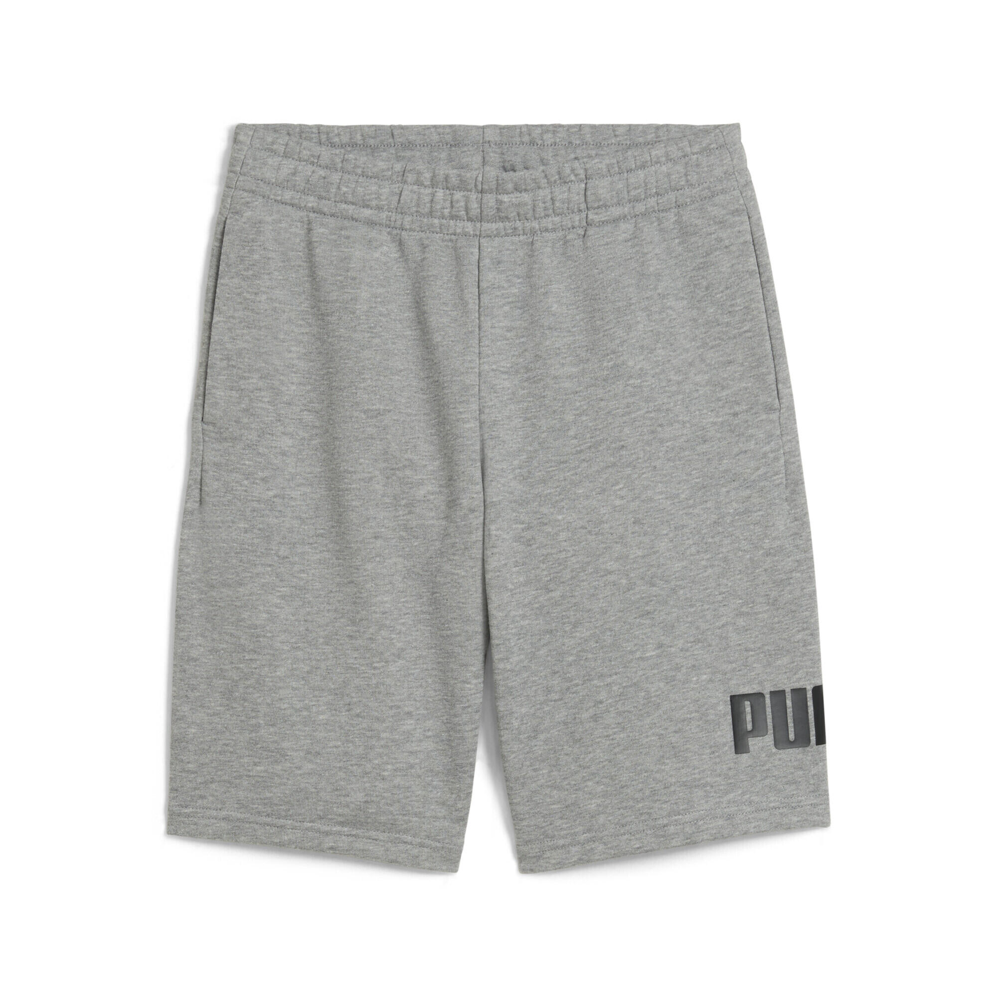 PUMA picture