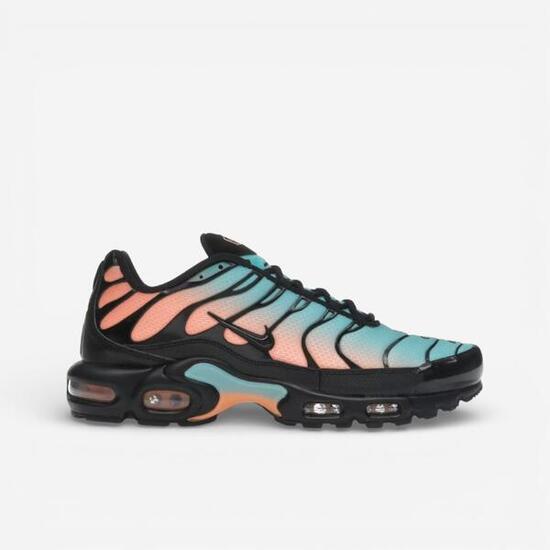 Nike Air Max Plus South Beach