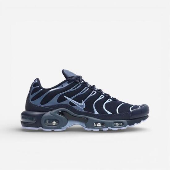 Nike Air Max Plus Obsidian Aluminum