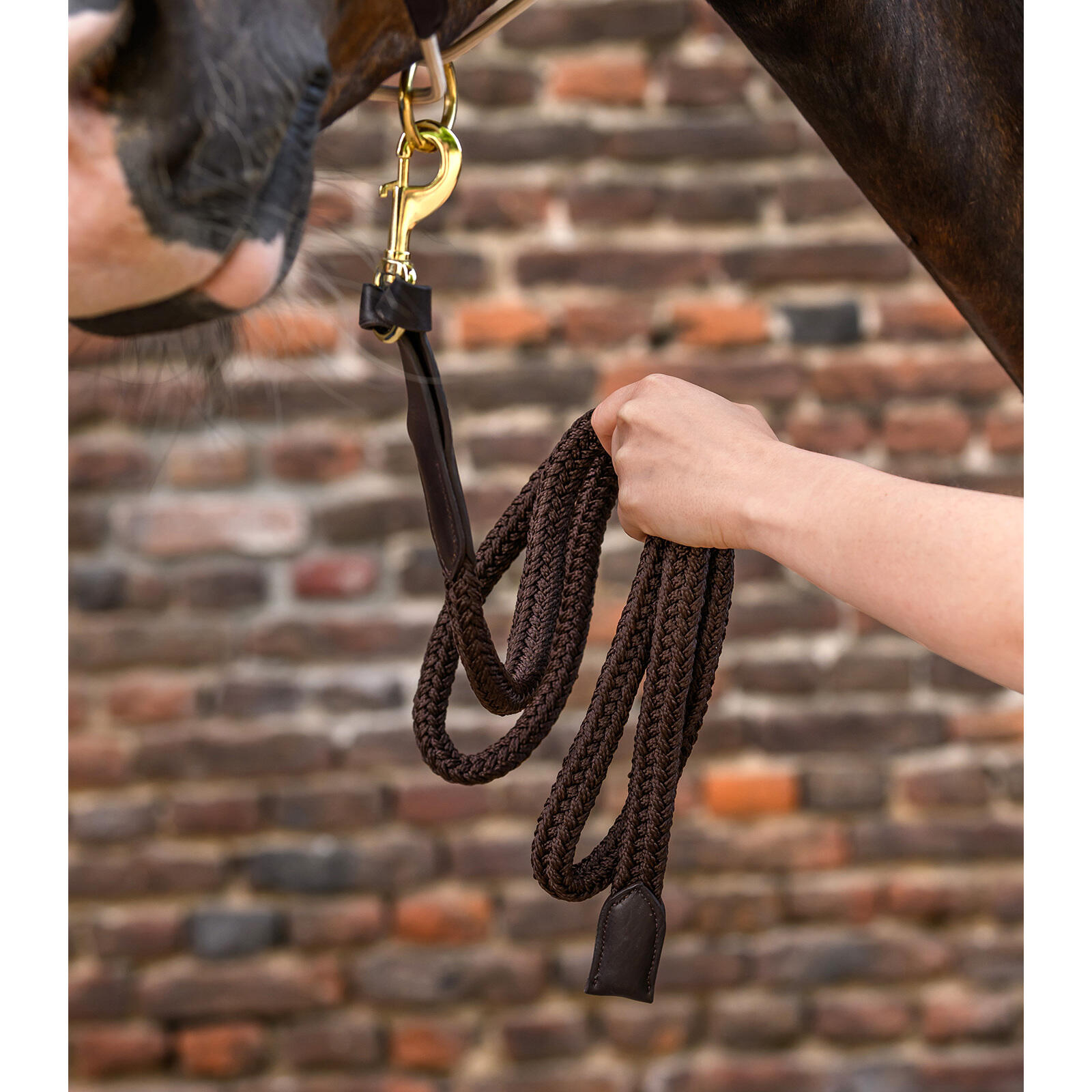 Leren koord Waldhausen Royal 2/3