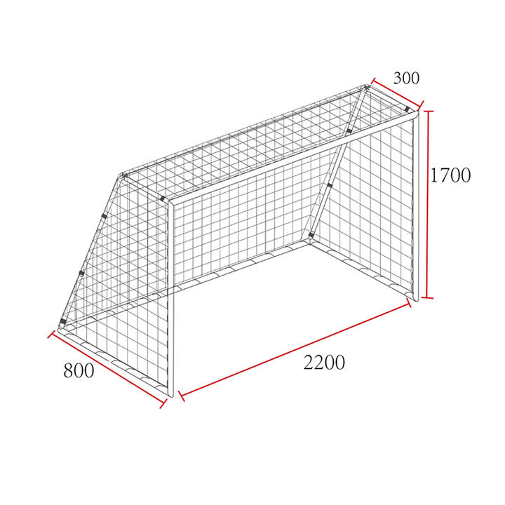 Porta da calcio 220 cm, Kylian, 220 cm x 170 cm, antracite 4/7