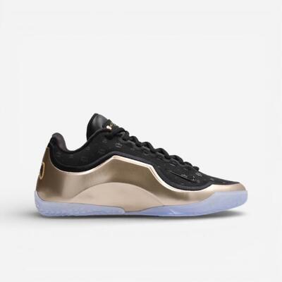 Nike lebron 23 the chosen one and the one who chose (translucent outsole)