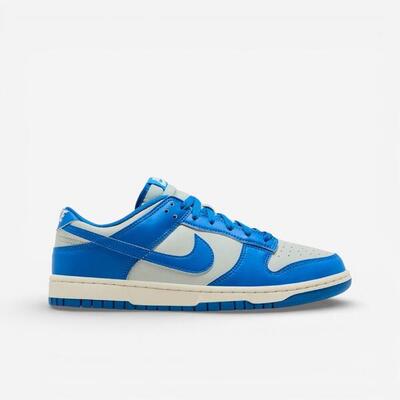 Nike Dunk Low Detroit Lions