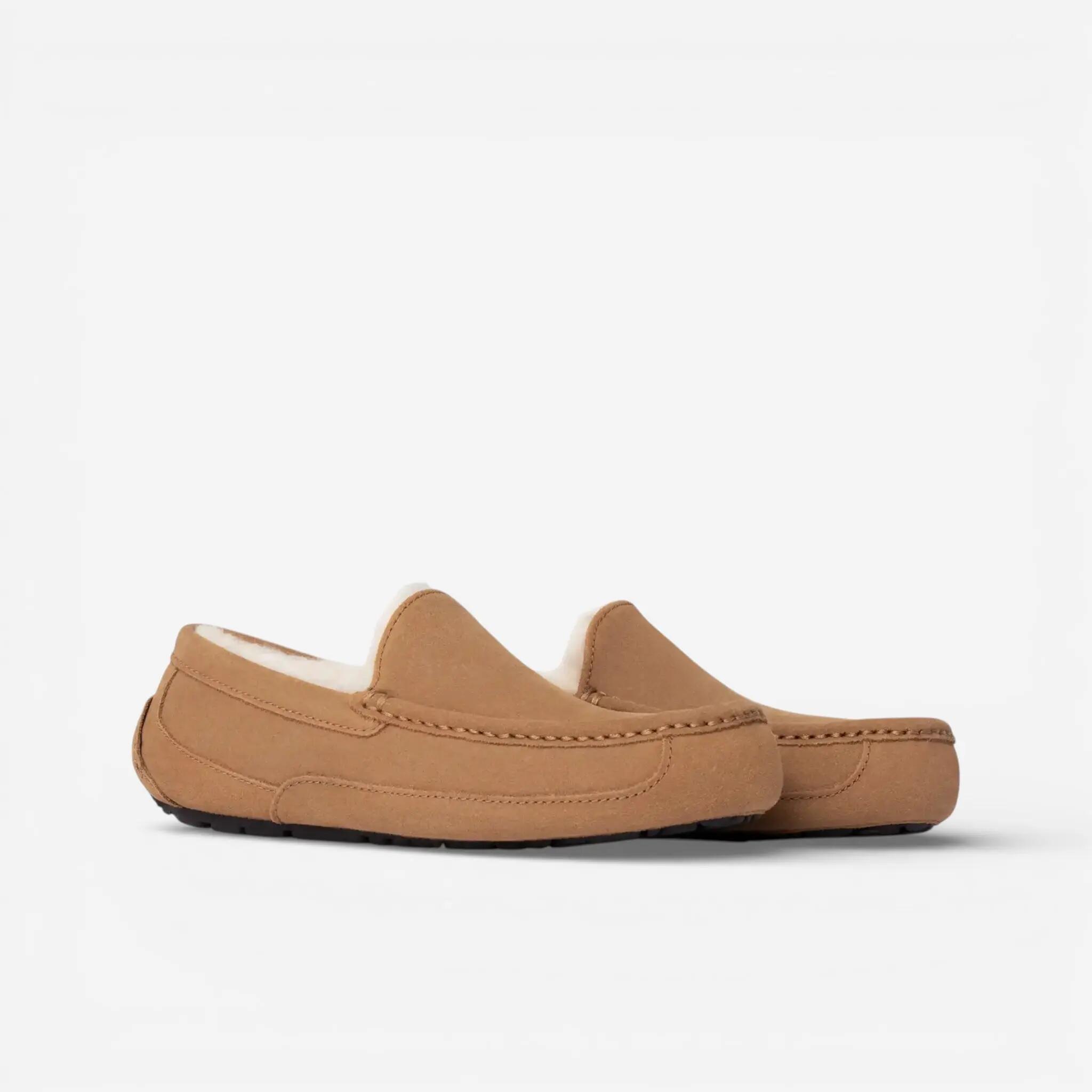 UGG Ascot Slipper Chestnut 2/3
