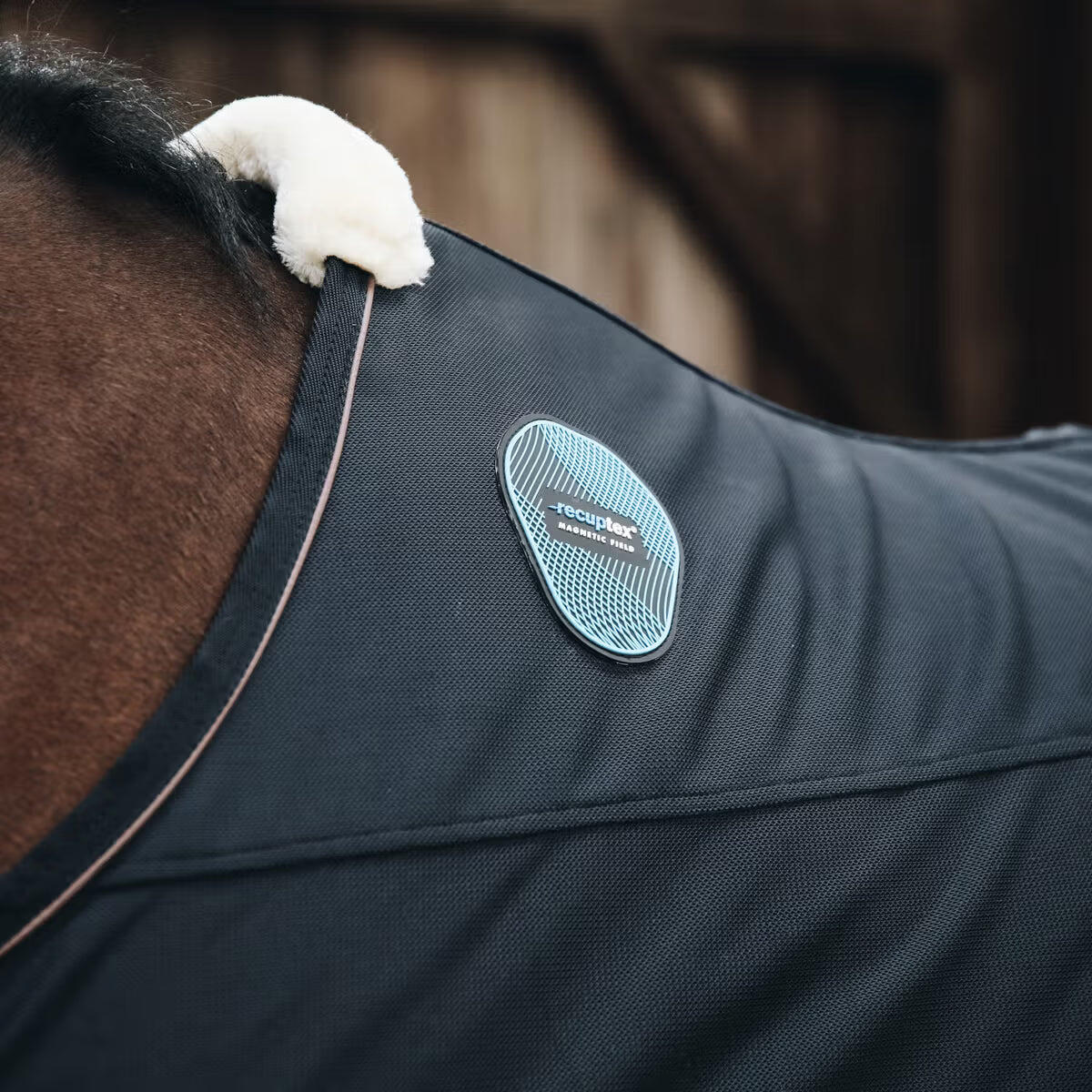 Paardendeken Kentucky Magnetic Recuptex 5/7
