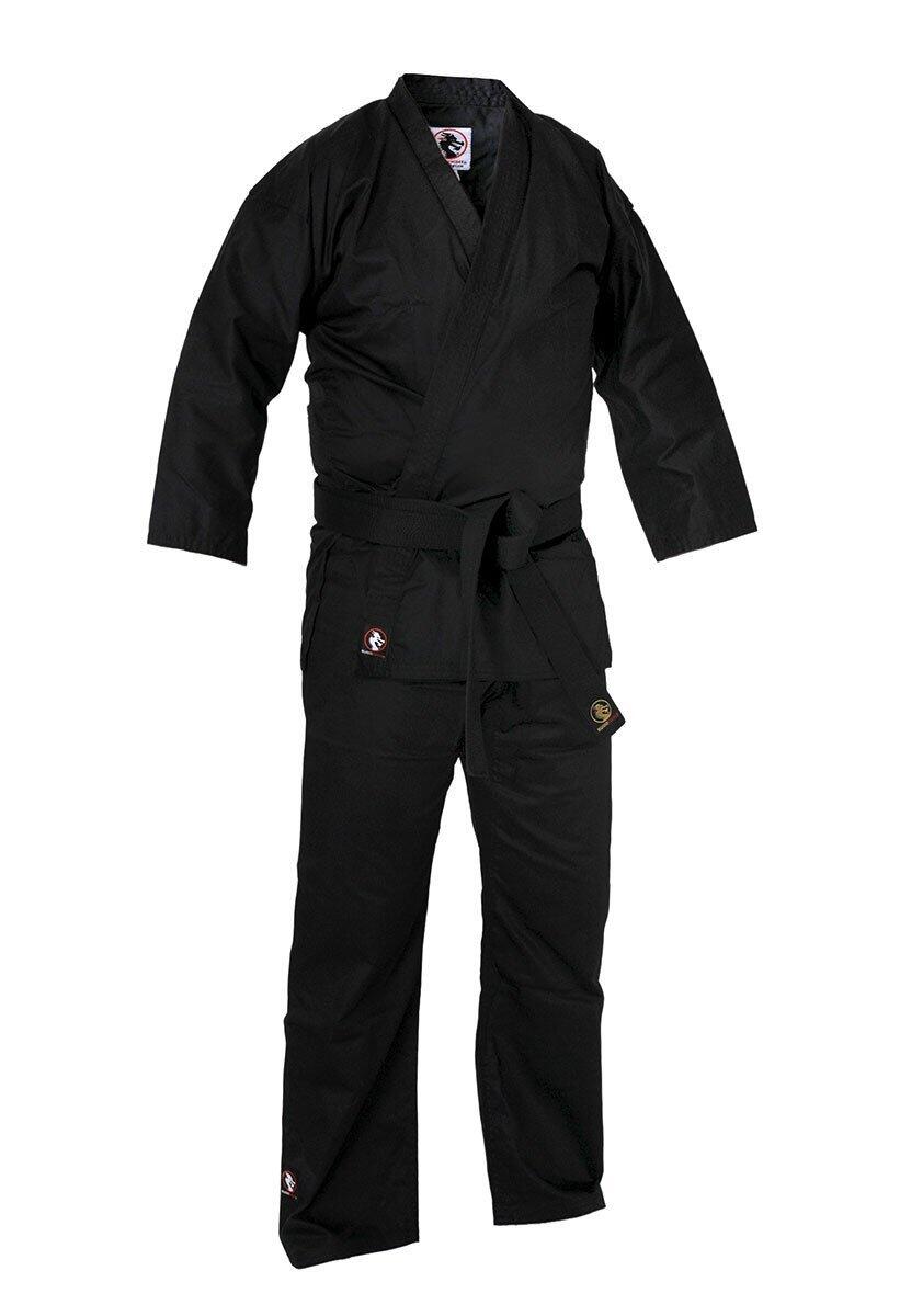 BUDO-FIGHT picture