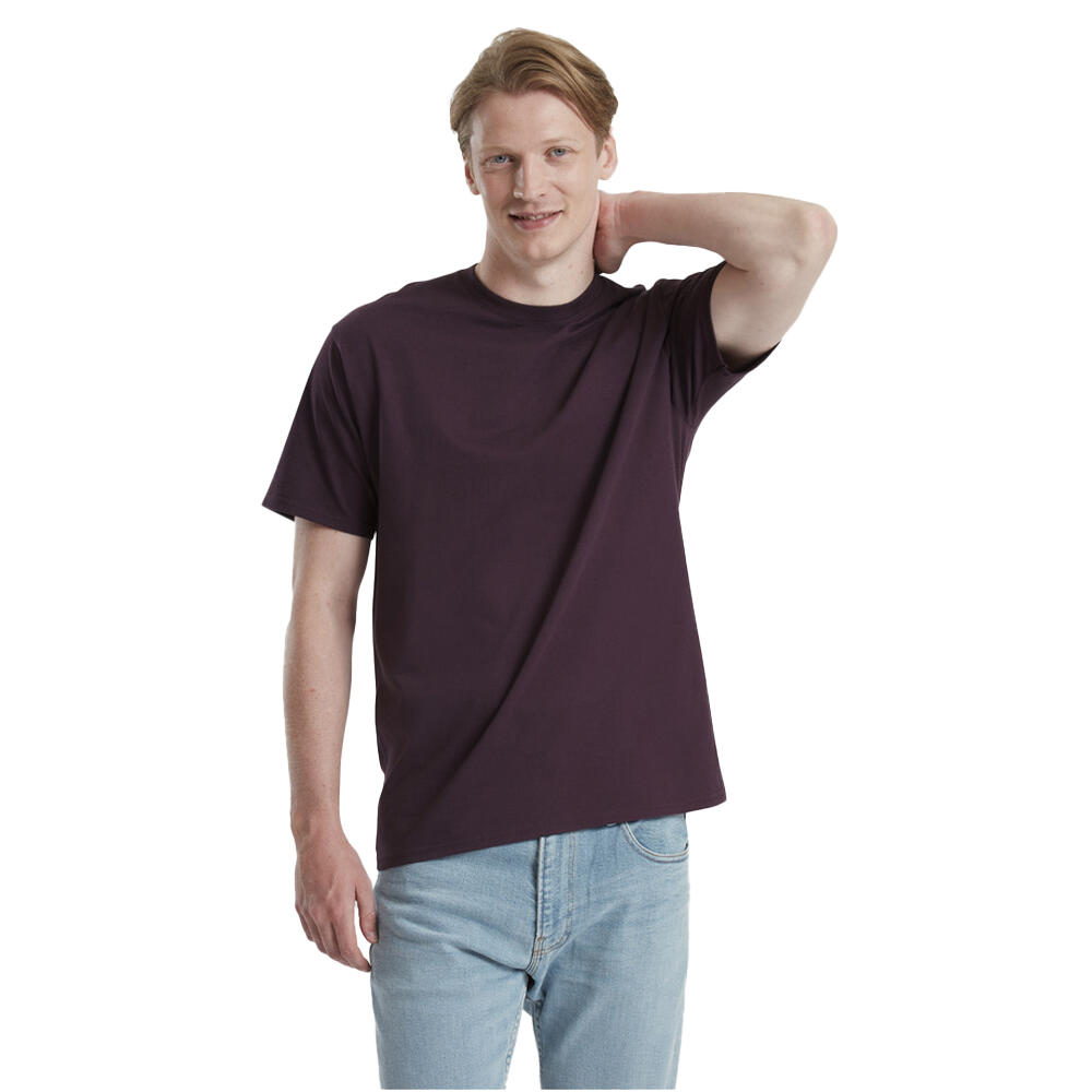 FRUIT OF THE LOOM picture