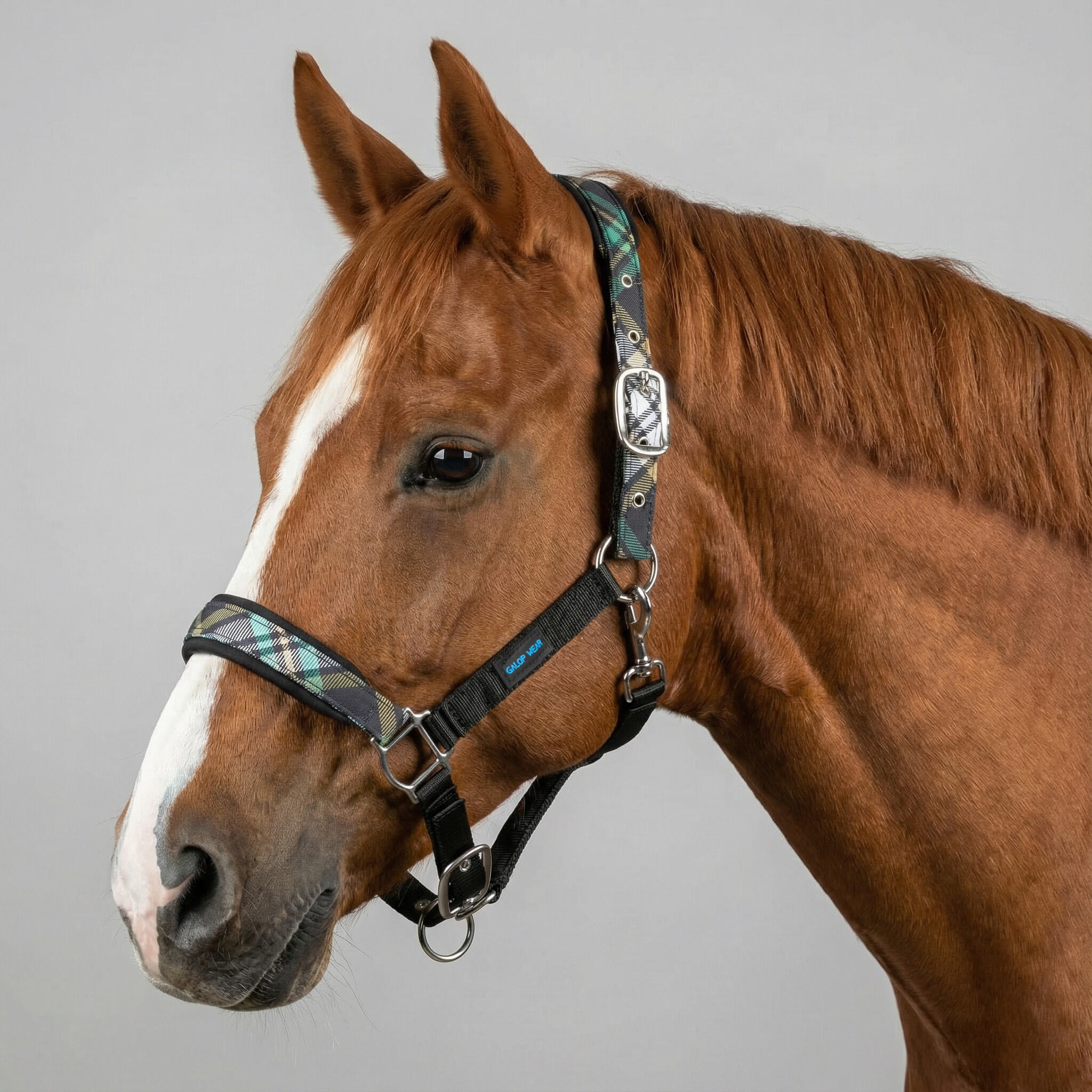 GALOP WEAR Ohlávka pro koně GALOP WEAR – Heritage Line