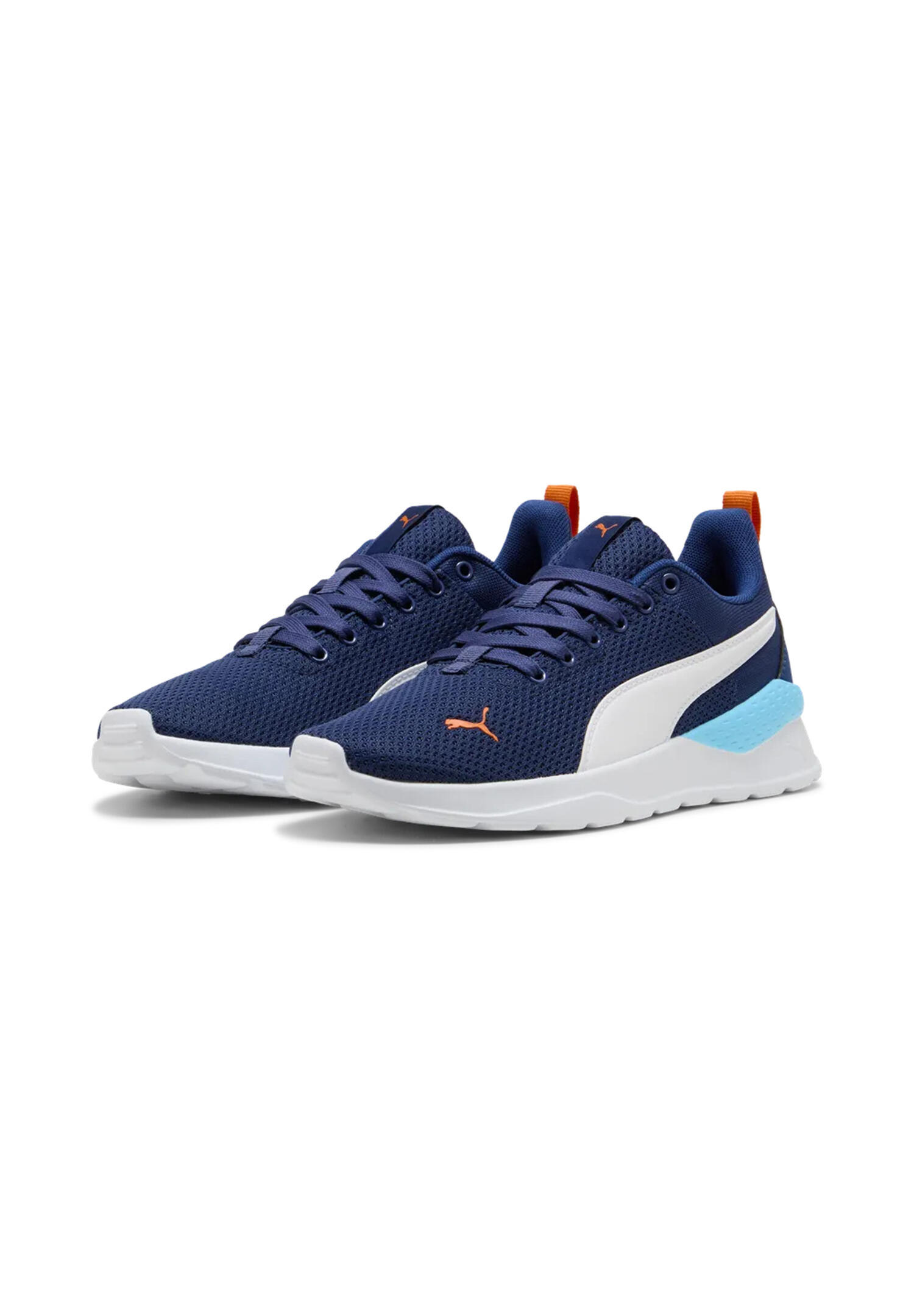 PUMA picture