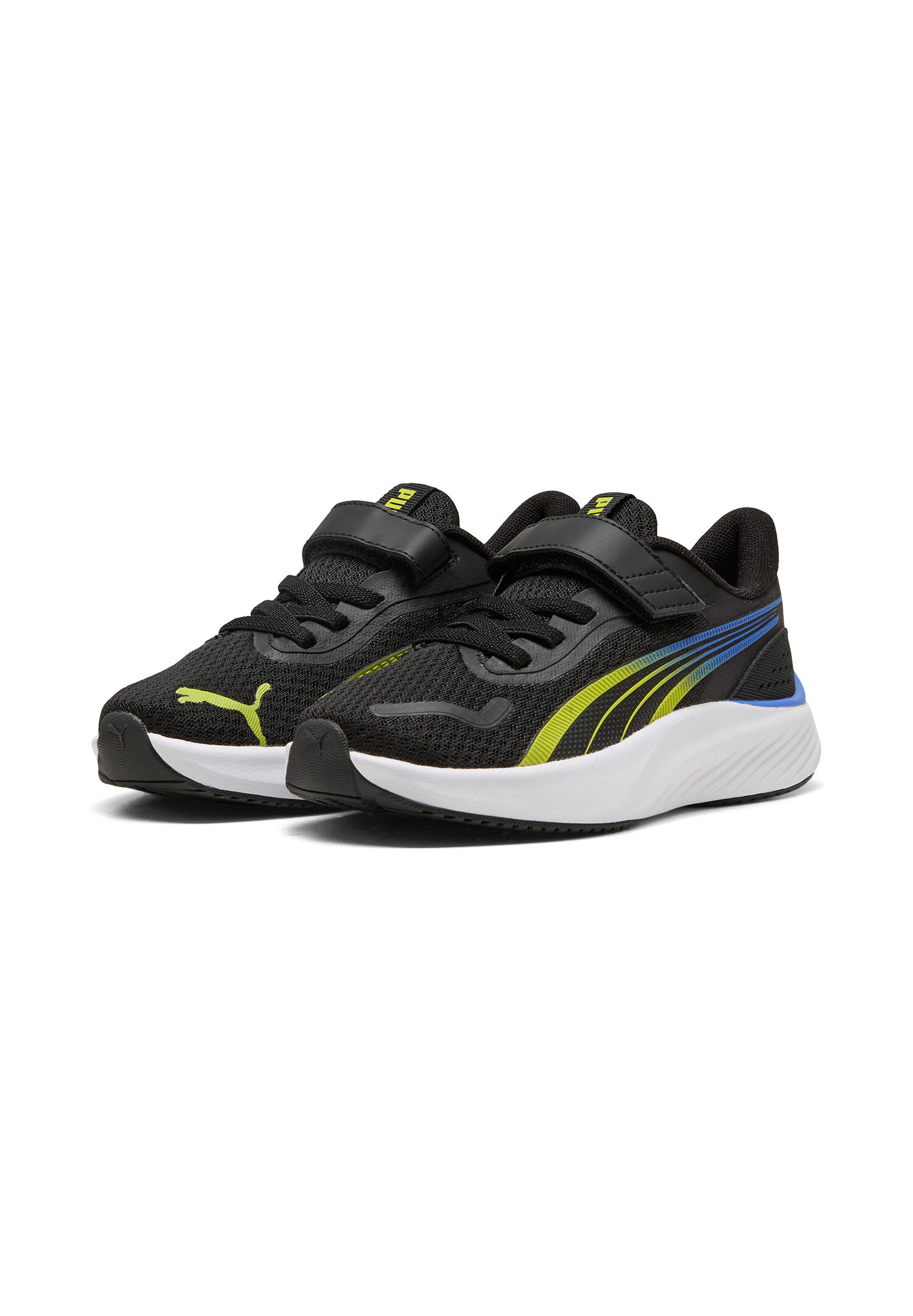 PUMA picture