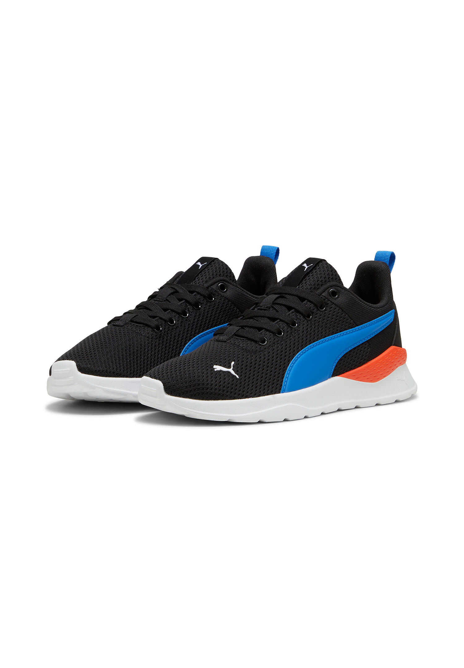 PUMA picture