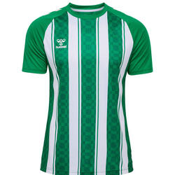 Maillot Hummel Match striped