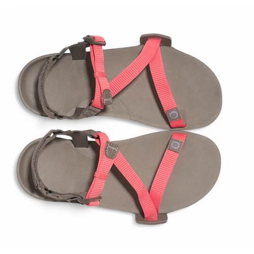 Buty trekkingowe damskie Xero Shoes Z-trail Ev 5/5