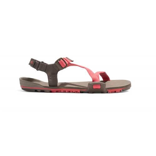 Buty trekkingowe damskie Xero Shoes Z-trail Ev