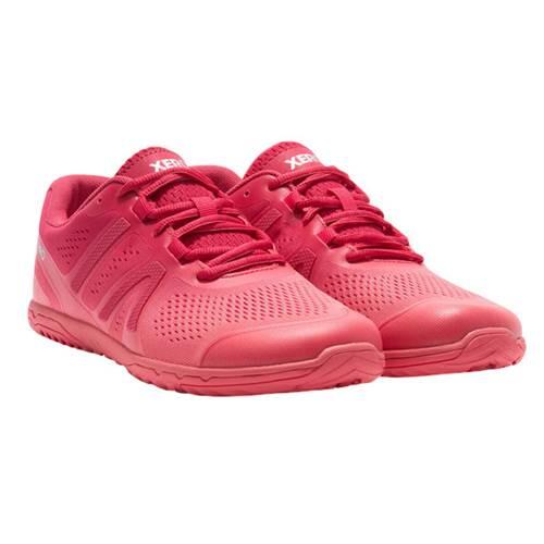 Chaussures de course Femme Xero Shoes Hfs II 3/5